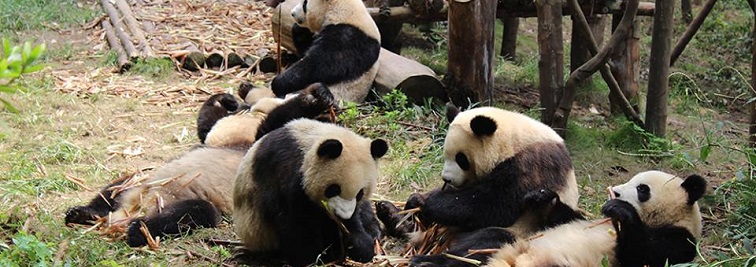 Madrid Zoo